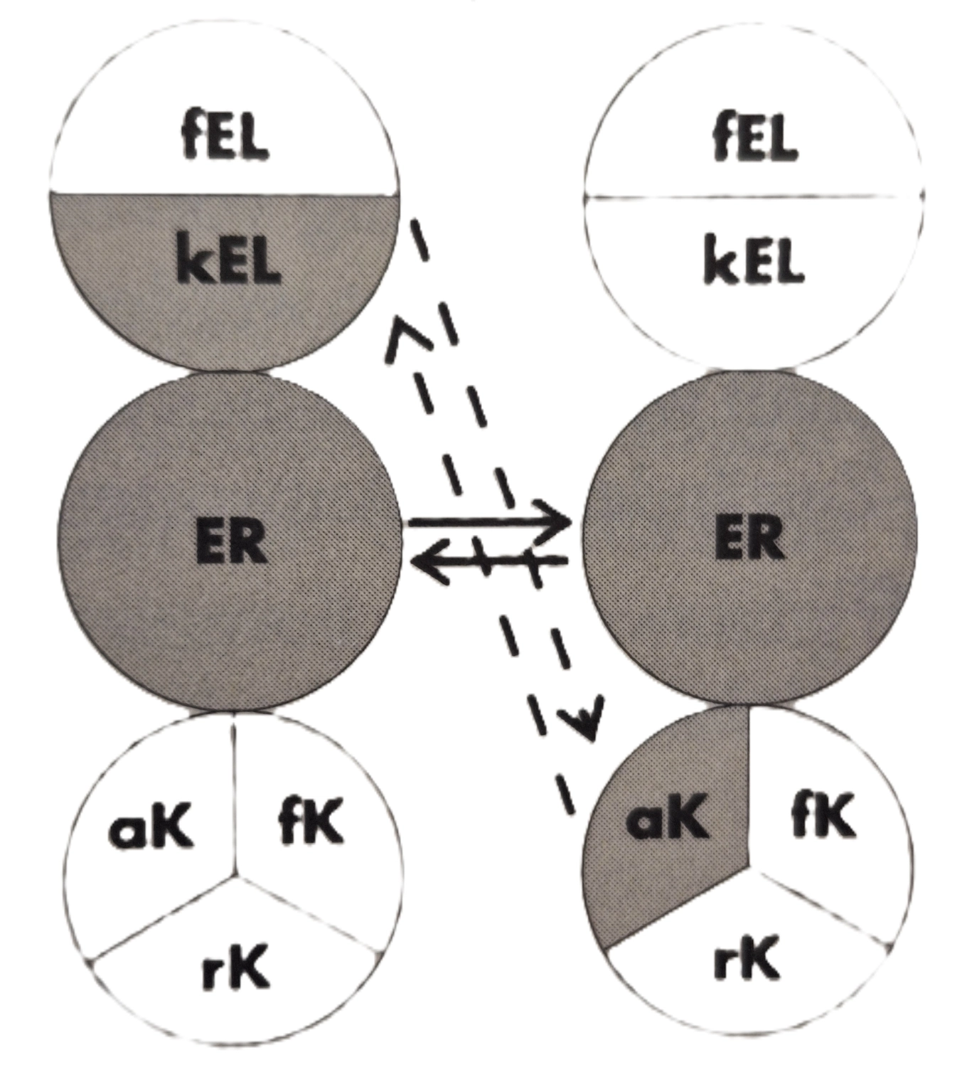 Beratung, Coaching, Supervision, Training, Moderation – Diagramm mit beschrifteten Kreisen